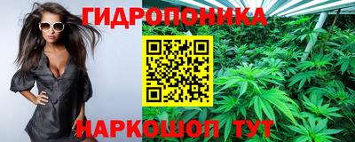 стафф Гагарин