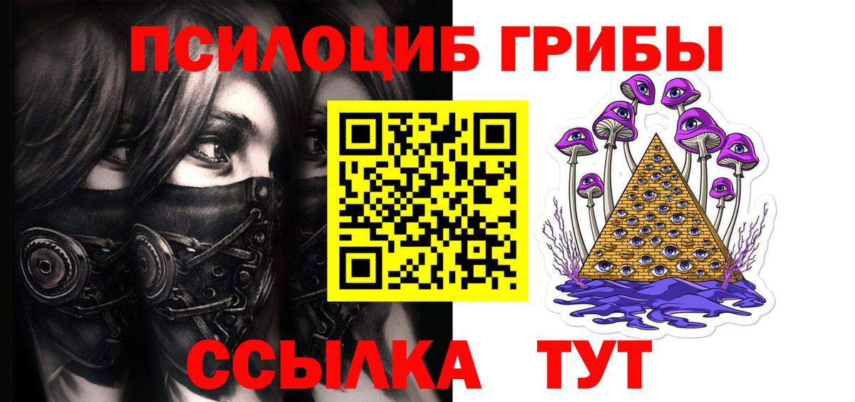 Псилоцибиновые грибы мицелий Назарово