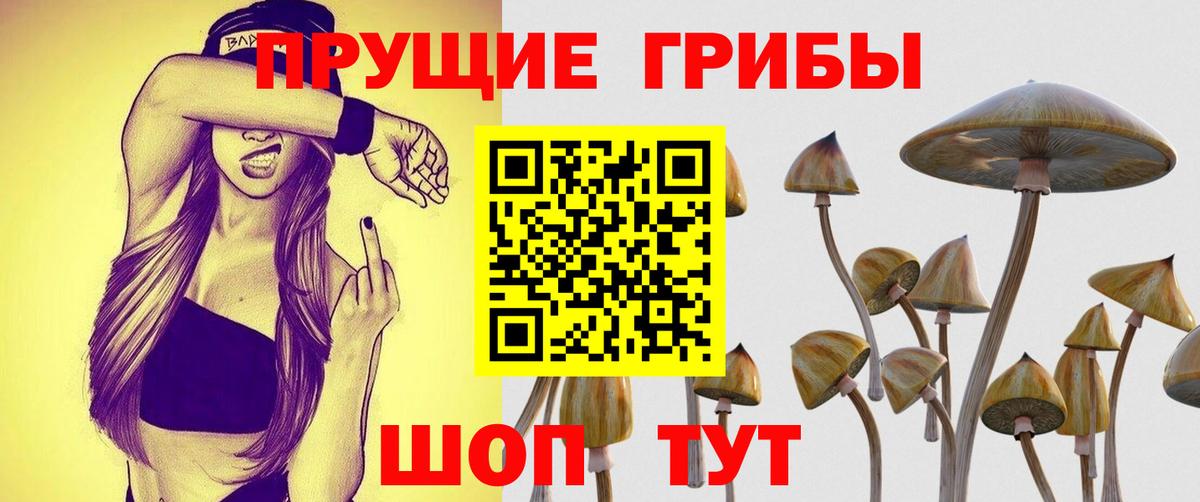 Назарово  Псилоцибиновые грибы Cubensis  Вход с VPN 