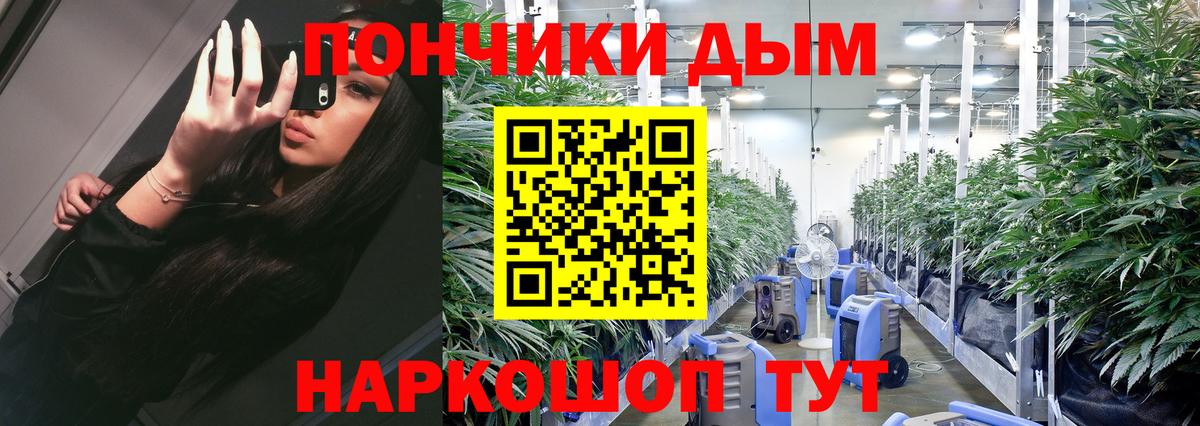 Бошки марихуана Amnesia  Марихуана THC 21%  Шишки марихуана план  Вход с VPN  Назарово  Бошки марихуана гибрид 