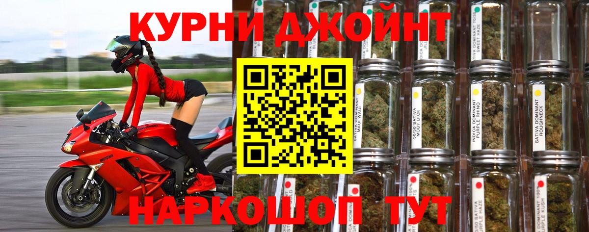 Конопля MAZAR Назарово